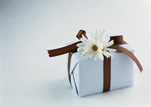 大量の発注はコストを抑える事ができます